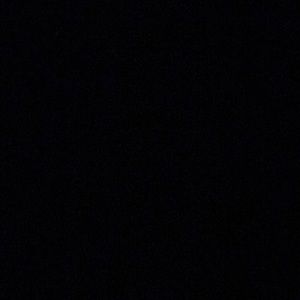 Meet your Posher, Lalani